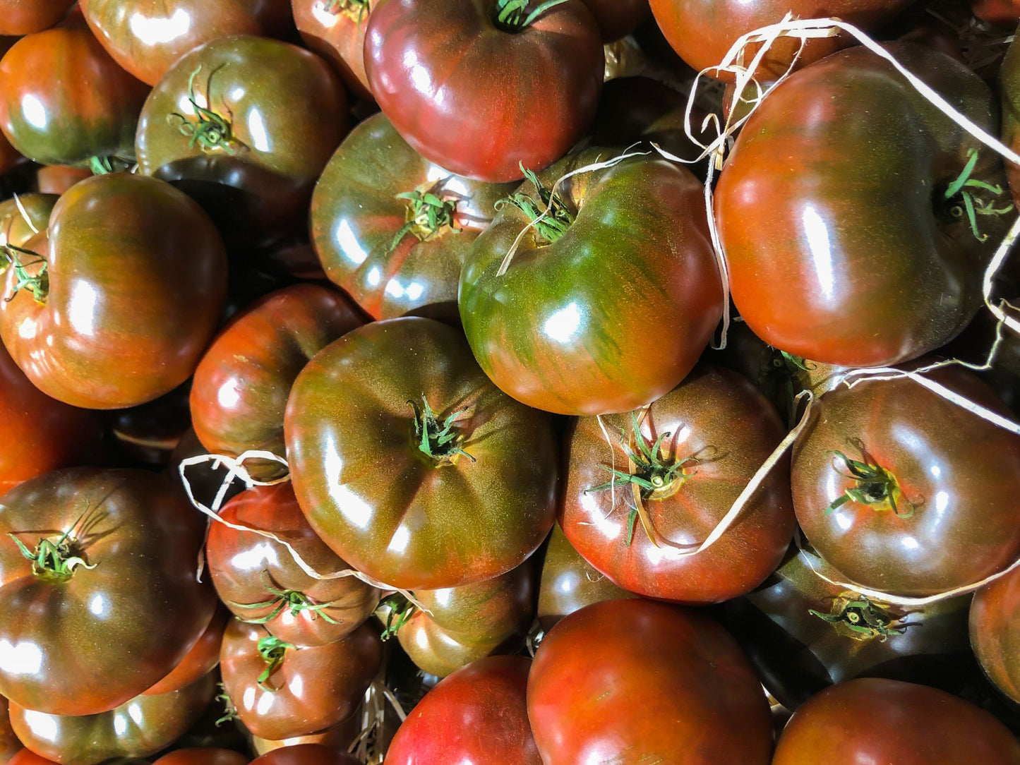 Black Krim Tomato Seeds