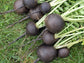 Black Spanish Round Radish Seeds