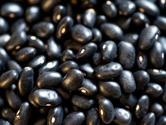 Black Turtle Bean Seeds