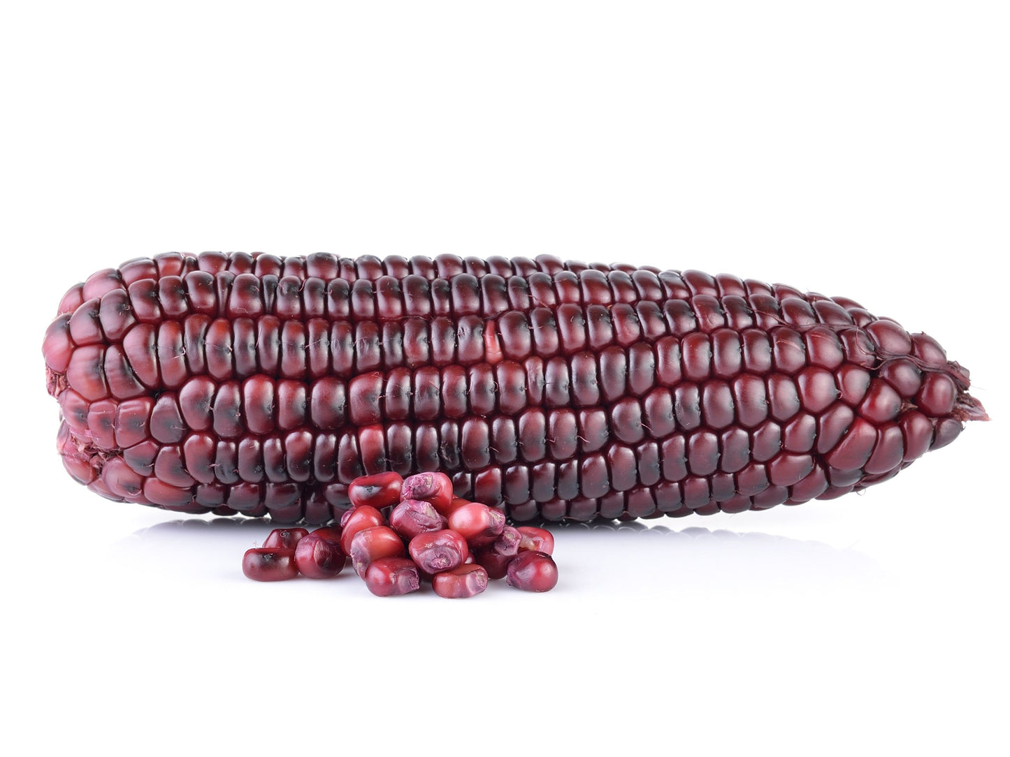 Bloody Butcher Dent Corn Seeds