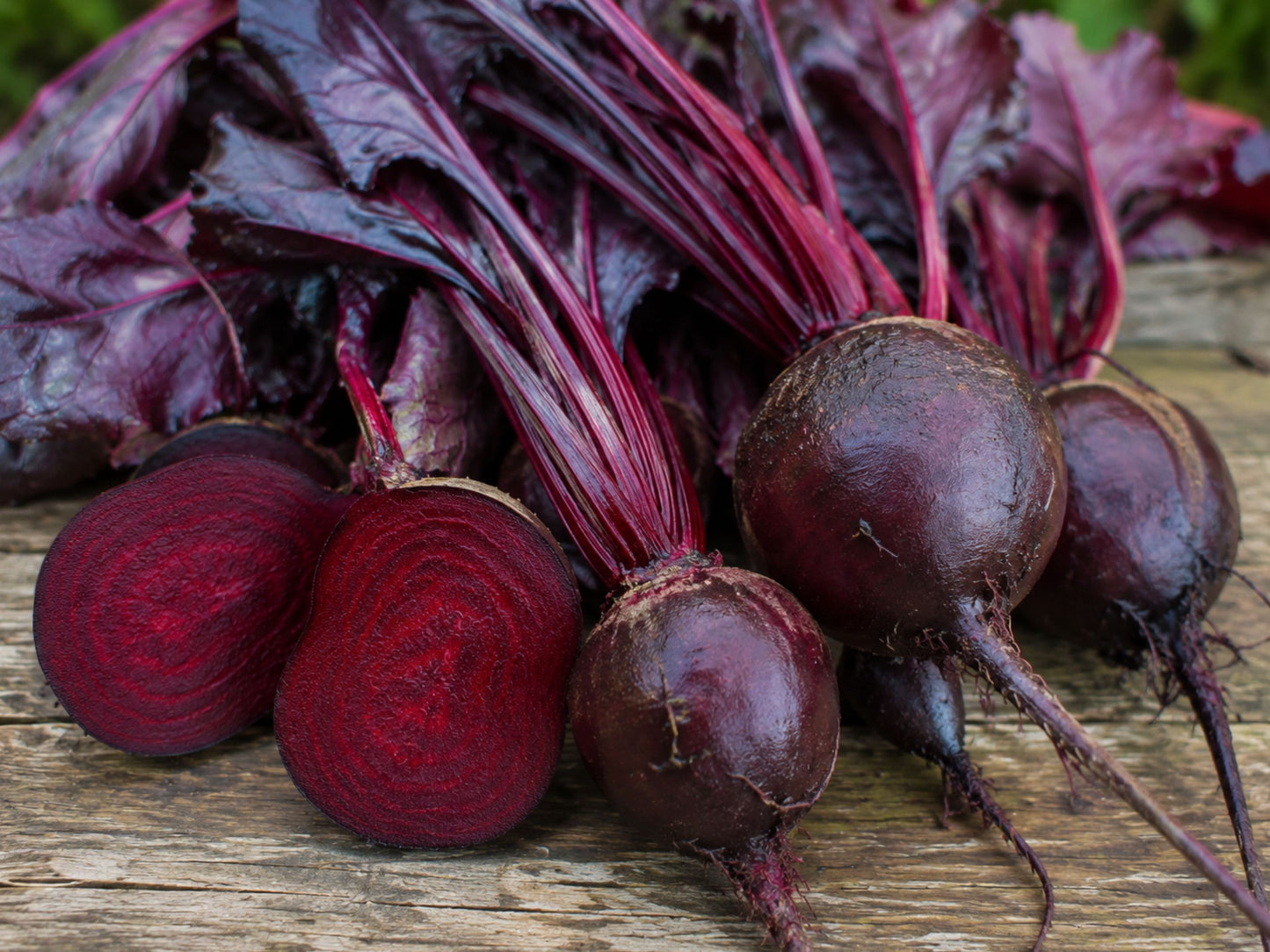 Bull's Blood Dark Red Beet Seeds