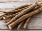 Takinogawa Burdock Seeds