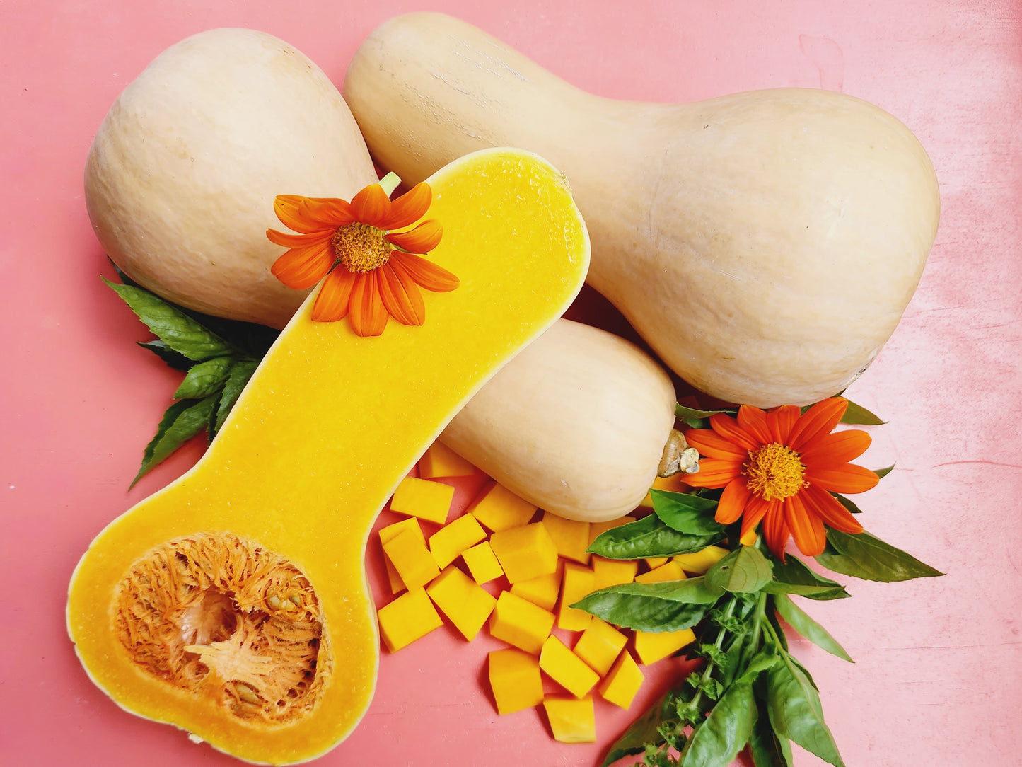 Waltham Butternut Winter Squash Seeds