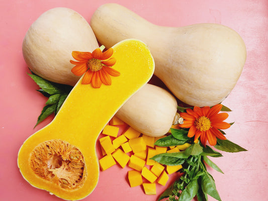 Waltham Butternut Winter Squash Seeds