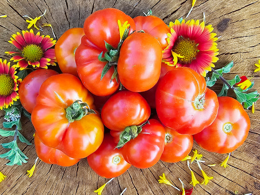 Ceylon Ruffled Tomato Seeds