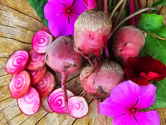 Chioggia Beet Seeds