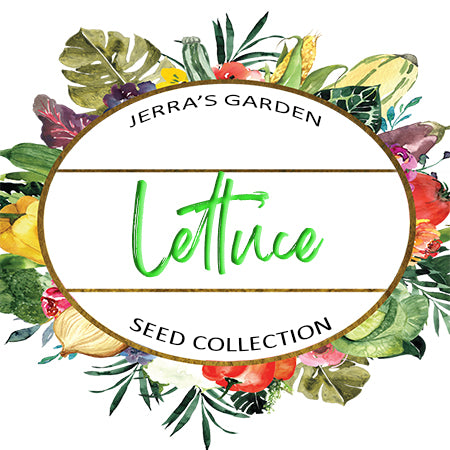 Lettuce Heirloom Seed Collection Gift Set