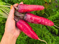 Cosmic Purple Carrot Seeds