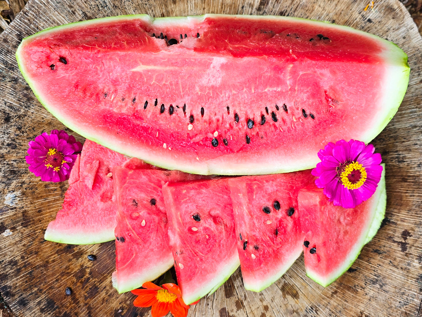 planting crimson sweet watermelon seeds Crimson Sweet Watermelon – Juicy Heirloom Variety – Jerra's Garden