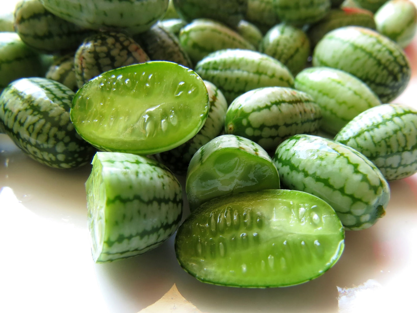 Cucamelon aka Mouse Melon Seeds