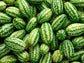 Cucamelon aka Mouse Melon Seeds