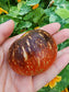 Dark Galaxy Tomato Seeds