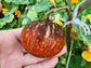 Dark Galaxy Tomato Seeds