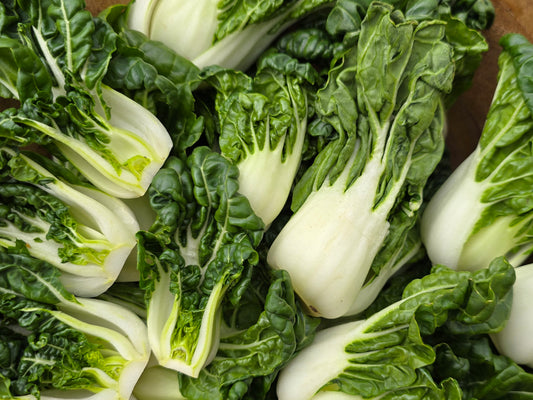 Extra Dwarf 2 Inch Bok Choy Seeds
