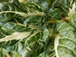 Fordhook Giant Swiss Chard Seeds