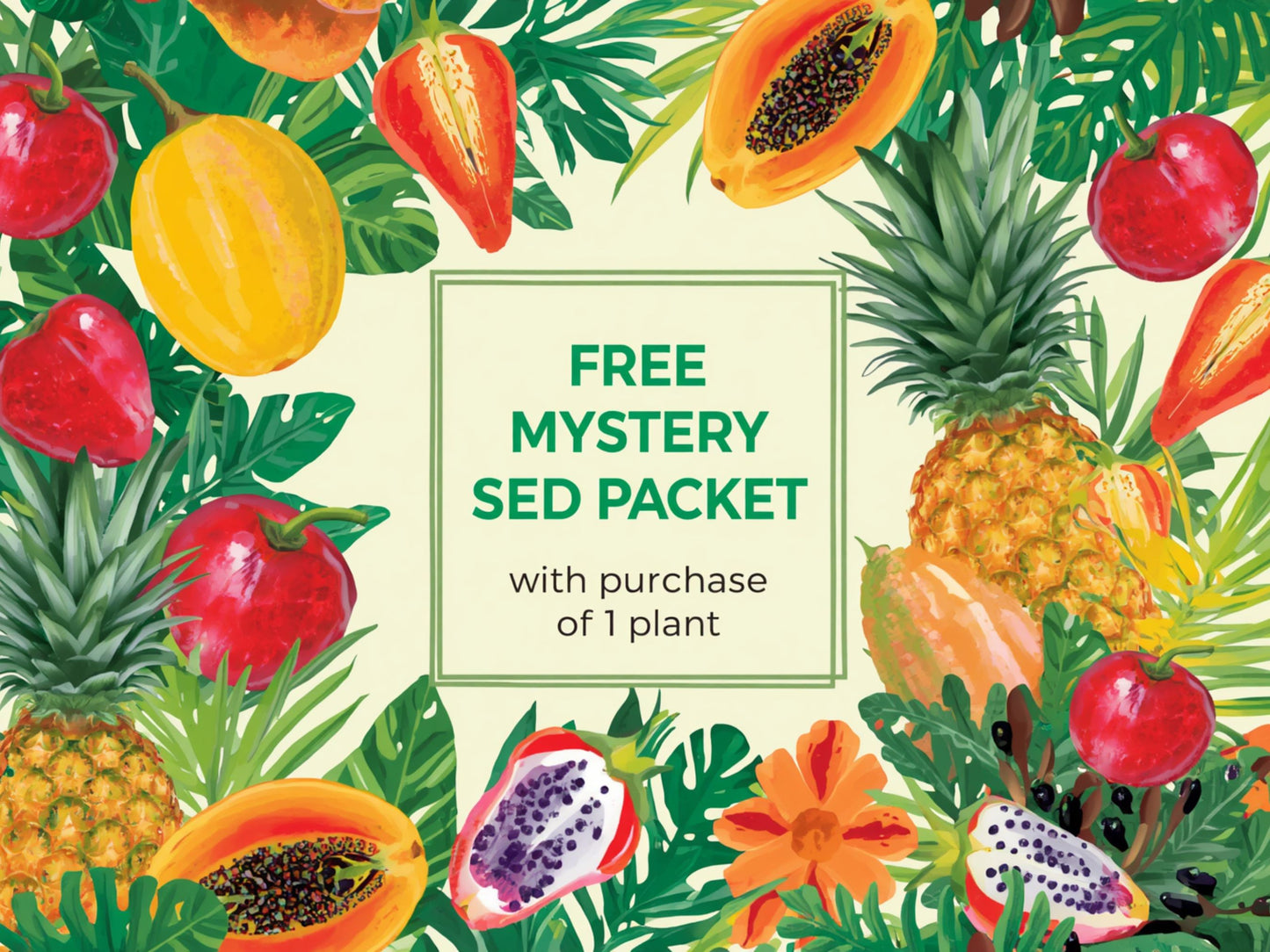Free Mystery Seed Packet