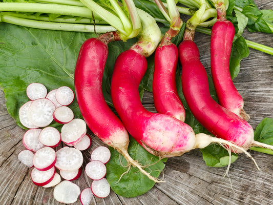 French Breakfast Radish Seeds