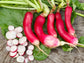 French Breakfast Radish Seeds