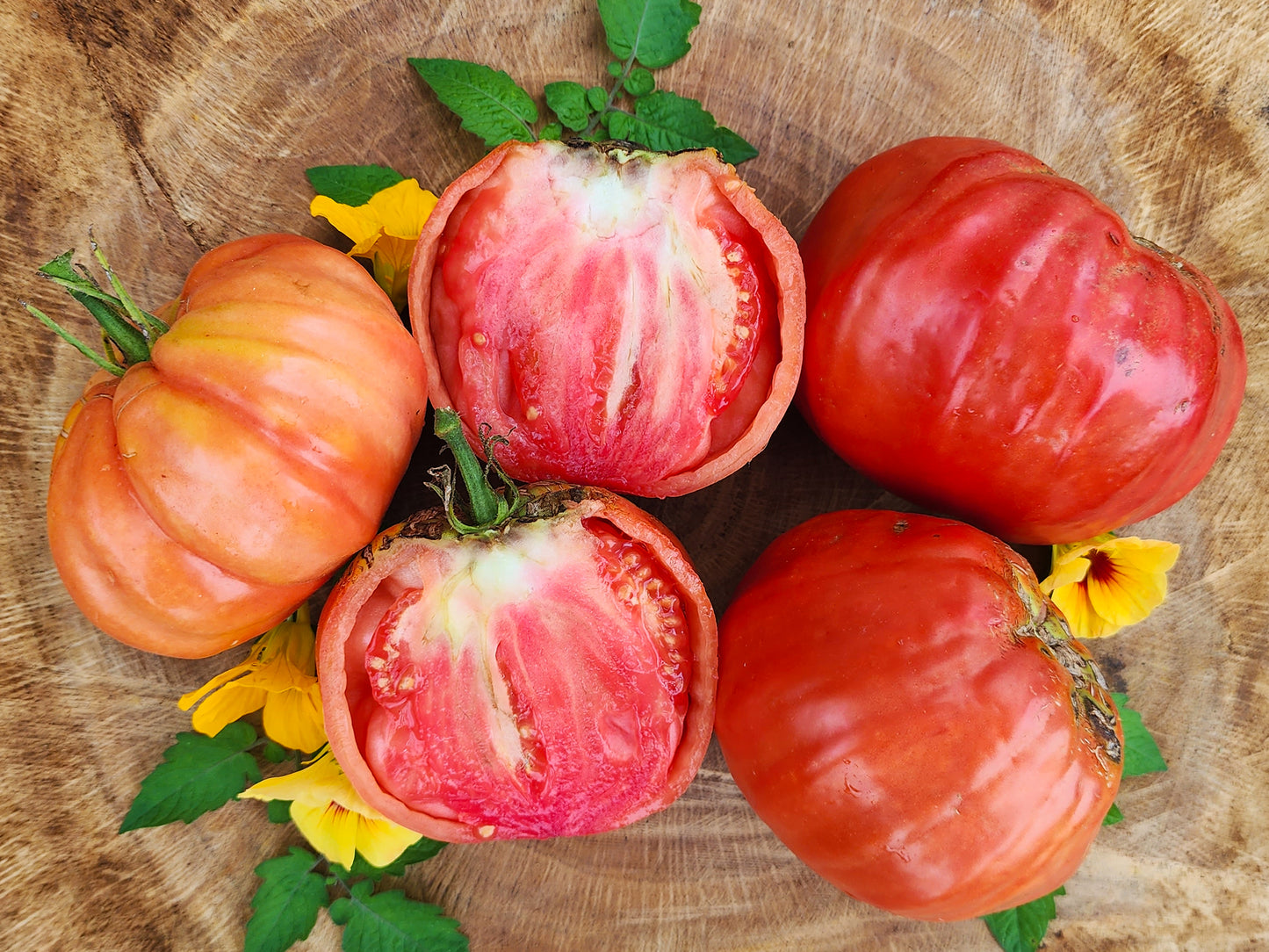 Giant Nono Italian Tomato Seeds