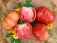 Giant Nono Italian Tomato Seeds