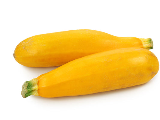 Golden Glory Hybrid Zucchini Seeds
