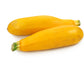 Golden Glory Hybrid Zucchini Seeds