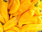Golden Marconi Italian Sweet Pepper Seeds