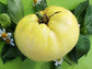 Great White Tomato Seeds