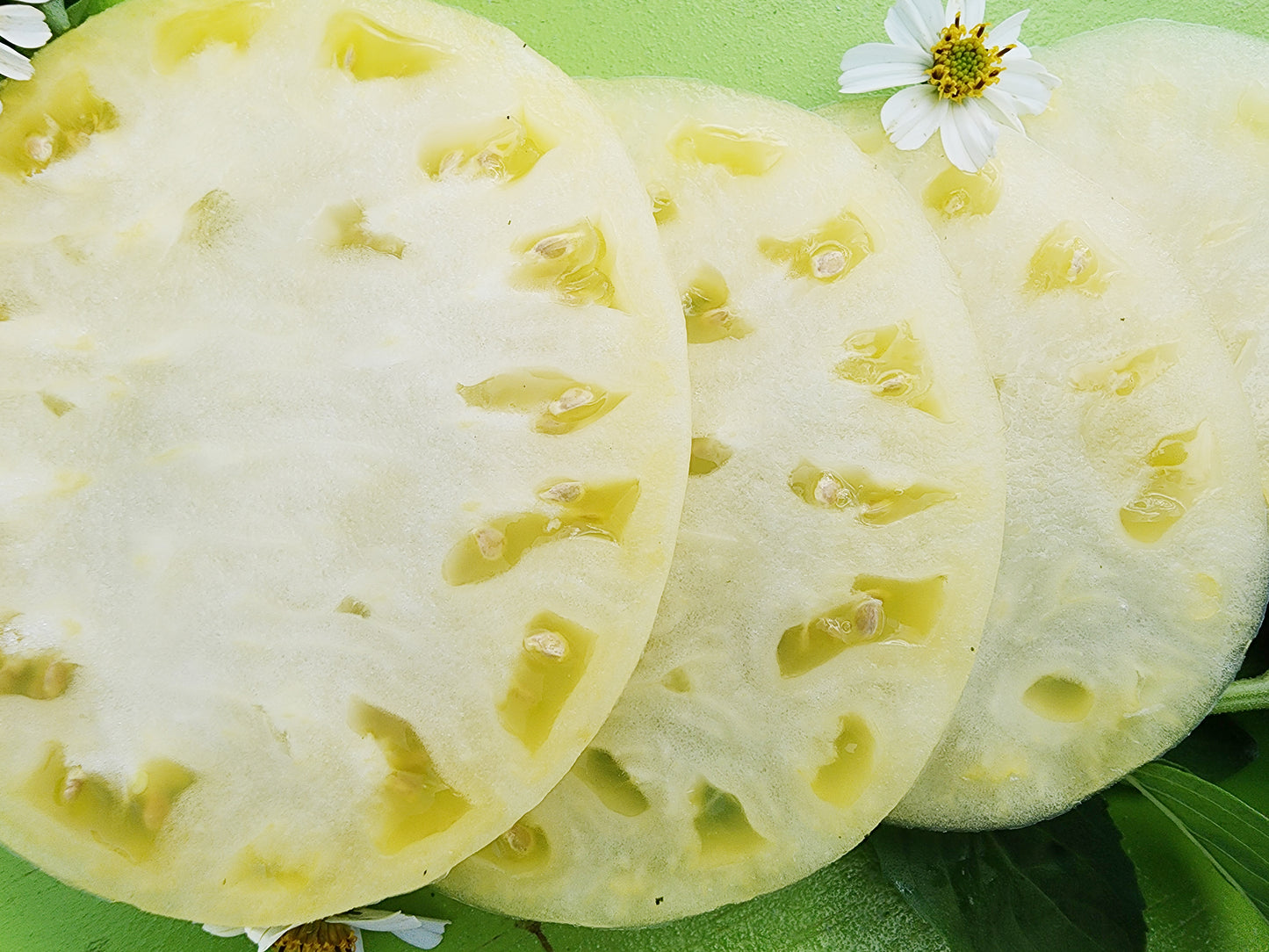 Great White Tomato Seeds