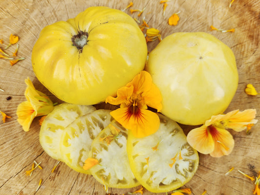 Great White Tomato Seeds