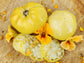 Great White Tomato Seeds