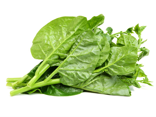 Green Malabar Spinach Seeds