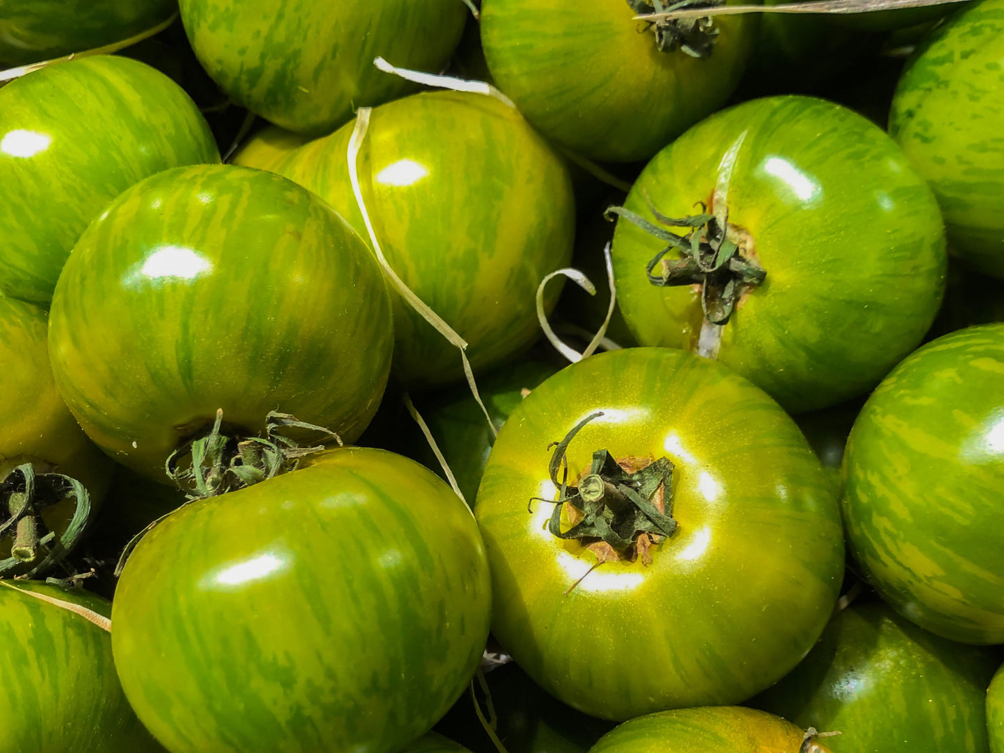 Green Zebra Tomato Seeds