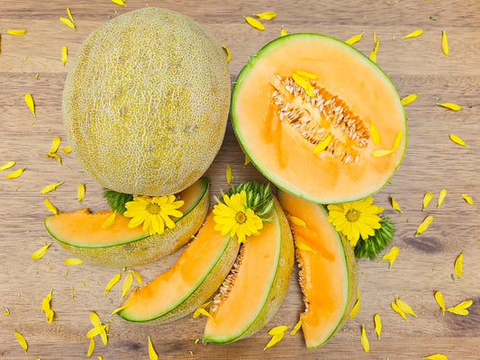 Hearts of Gold Cantaloupe Seeds