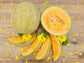 Hearts of Gold Cantaloupe Seeds