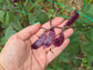 Purple Hyacinth Bean Seeds