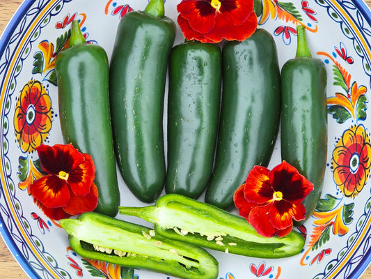 Jalapeno Hot Pepper Seeds