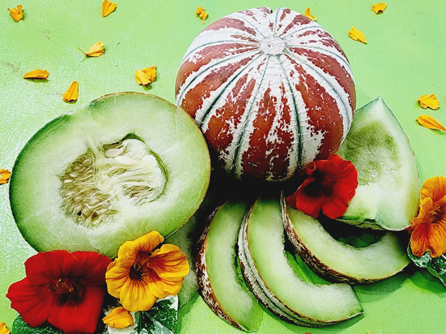 Kajari Melon Seeds