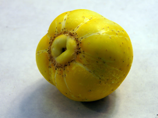 Lemon Cucumber Seeds