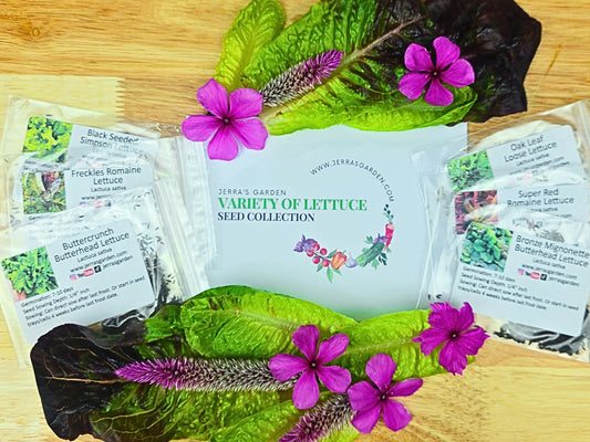 Lettuce Heirloom Seed Collection Gift Set