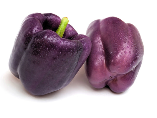 Lilac Bell Sweet Bell Pepper Seeds