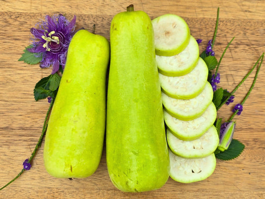 Long Opo / Bottle Gourd / Calabash Squash Seeds