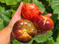 Red Beauty Beefsteak Tomato Seeds
