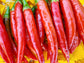 RARE Mathania Chili Pepper