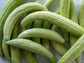Metki Armenian Cucumber Seeds