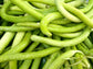 Metki Armenian Cucumber Seeds