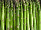 Green or Purple Asparagus Crowns