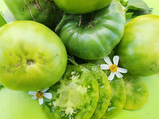 Moldovan Green Tomato Seeds