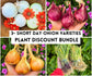 Short Day Sweet Onion LIVE PLANTS Bundles