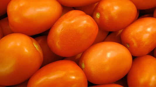 Orange Roma Tomato Seeds